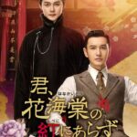 country life★君、花海棠の紅にあらず　全２５巻★ レンタル使用 Amazon.co.jp: 君、花海棠の紅にあらず DVD 全25巻 レンタル落ち